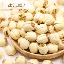 白莲子手剥莲味道更美熬粥2斤包邮