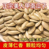 正宗美人甲南瓜子新疆特产批发零售电商专用