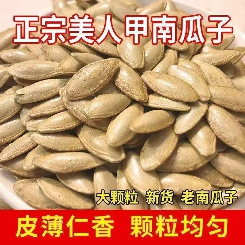 正宗美人甲南瓜子新疆特产批发零售电商专用