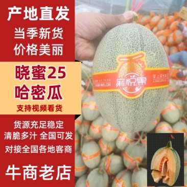 河北精品晓蜜25哈密瓜哈密瓜脆甜多汁新鲜上市量大从优