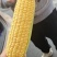 精品太阳花玉米大量上市品质保证量大从优一手货源