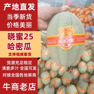 河北精品晓蜜25哈密瓜哈密瓜脆甜多汁新鲜上市量大从优