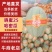 河北精品晓蜜25哈密瓜哈密瓜脆甜多汁新鲜上市量大从优
