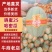 河北精品晓蜜25哈密瓜哈密瓜脆甜多汁新鲜上市量大从优
