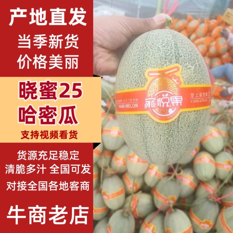 河北精品晓蜜25哈密瓜哈密瓜脆甜多汁新鲜上市量大从优