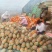 河北精品晓蜜25哈密瓜哈密瓜脆甜多汁新鲜上市量大从优