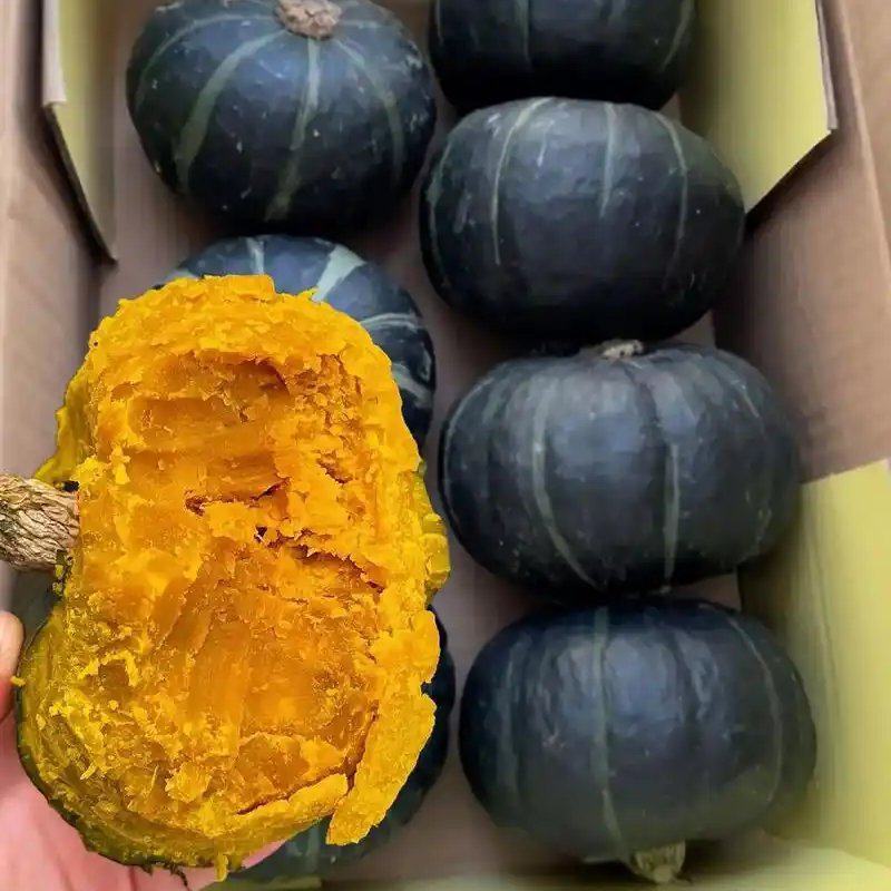 【实力推荐】贝贝南瓜/精品南瓜/视频看货/品质保证