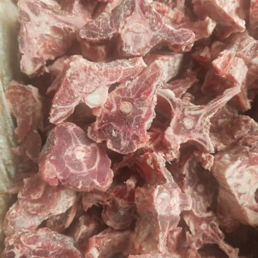 羊蝎子新货