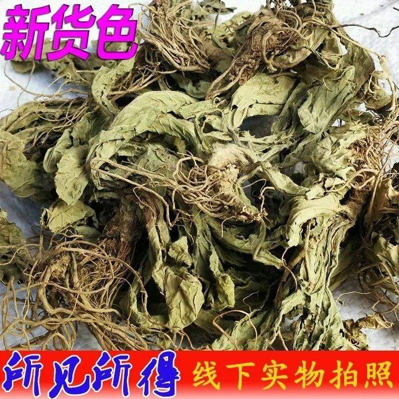 广西野生新晒地胆头地胆草干货无硫量大从优
