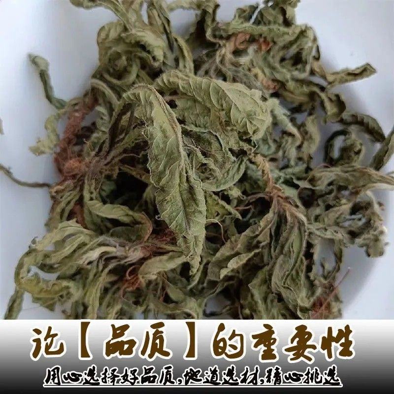 广西野生新晒地胆头地胆草干货无硫量大从优