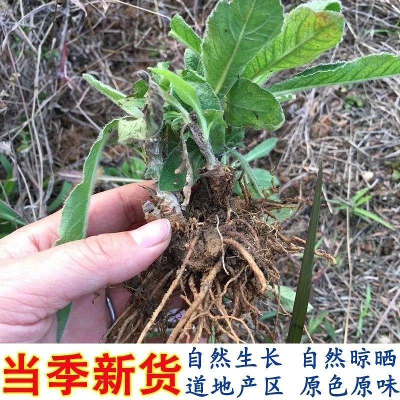 广西野生新晒地胆头地胆草干货无硫量大从优