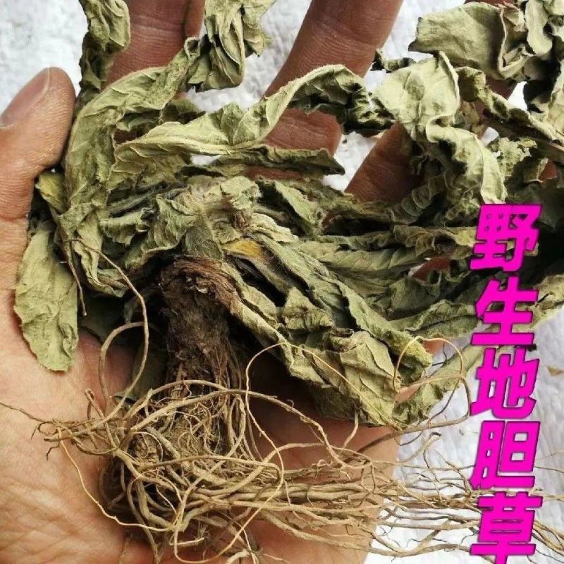 广西野生新晒地胆头地胆草干货无硫量大从优