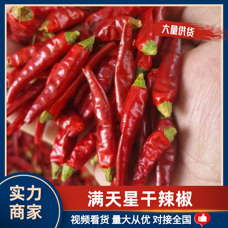 贵州正宗满天星厂家直供产地优势常年有货量大价优