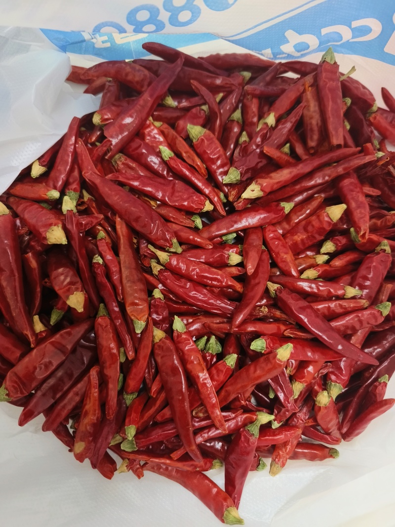 贵州正宗满天星厂家直供产地优势常年有货量大价优