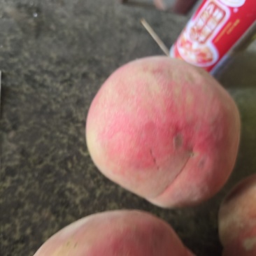 美翠桃子硕之红桃子大量上市了大量有货个头大颜色好口感好离