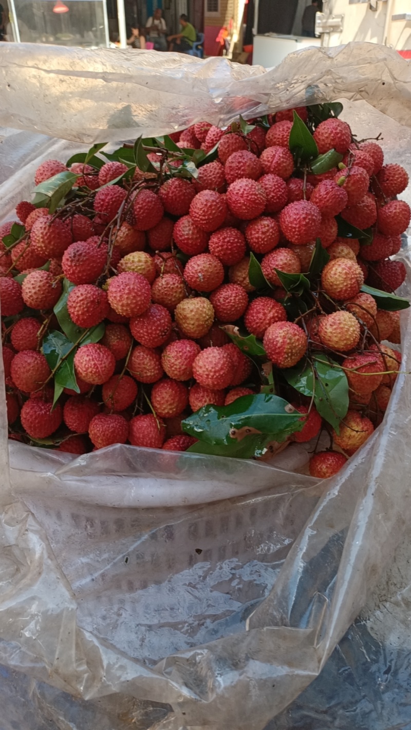 荔枝凤花荔枝