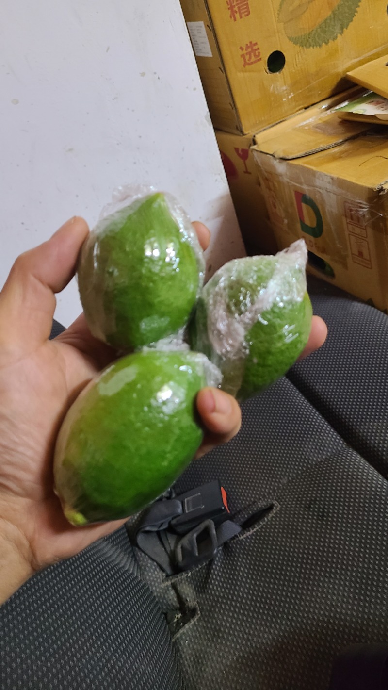 香水柠檬
