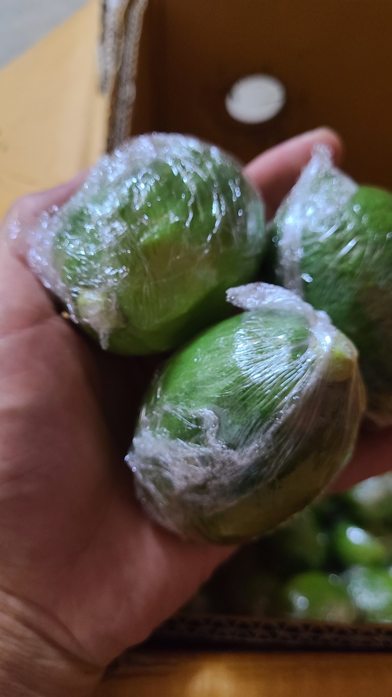 香水柠檬