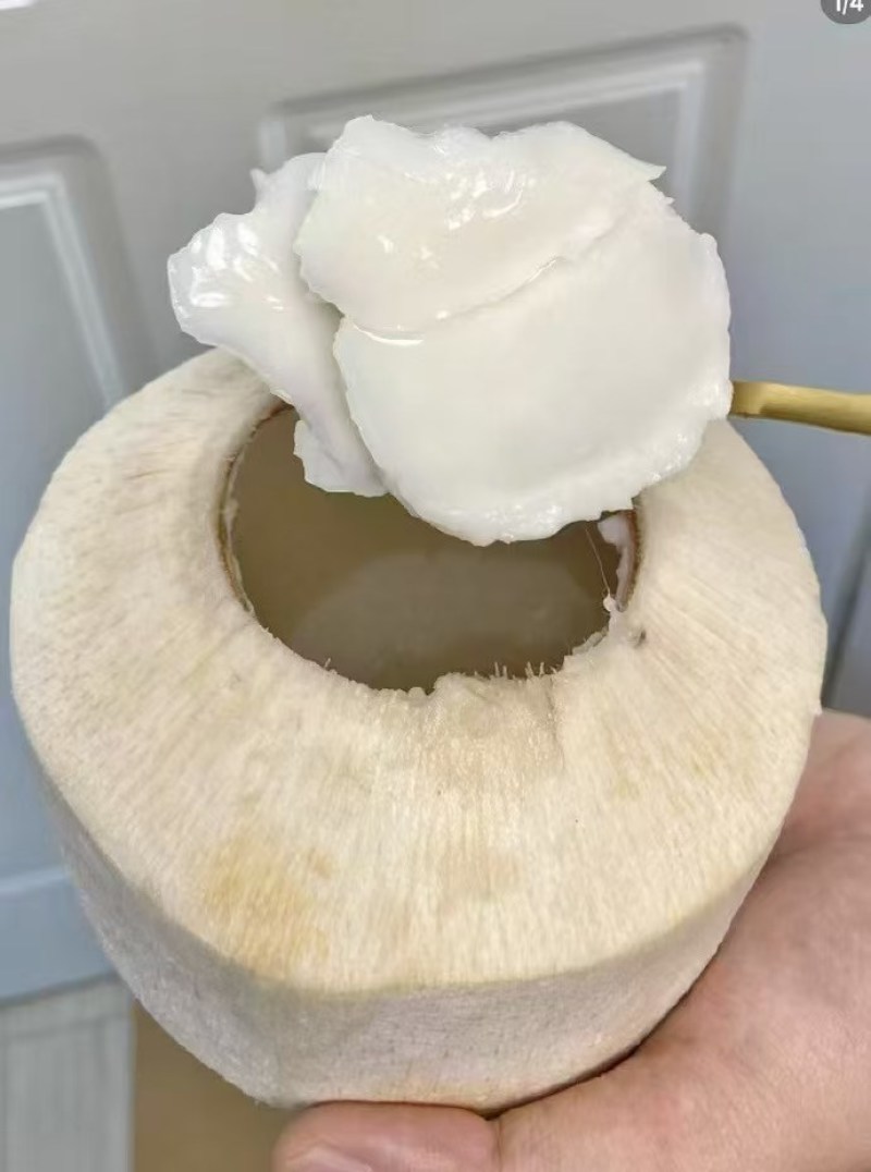椰青即将上市，量大优惠，可视频看货，对接全国市场电商平台
