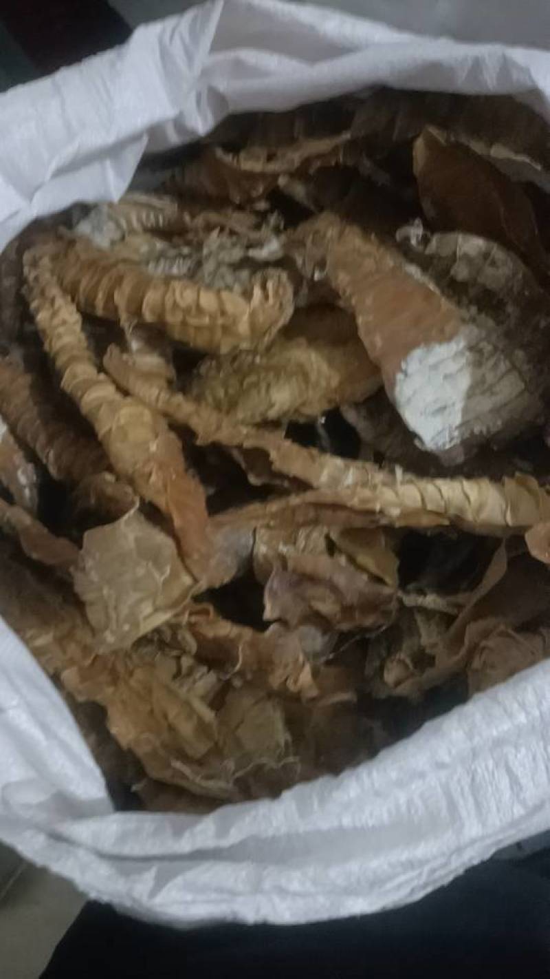福安的笋有200斤左右