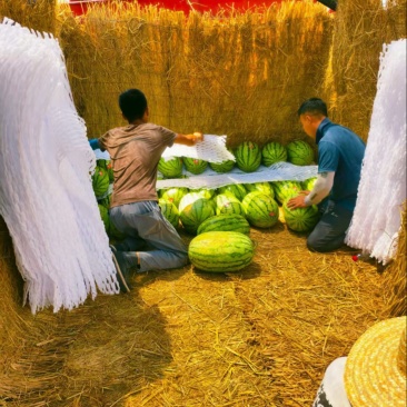 硒砂瓜品质保证服务周到产地直发价格美丽