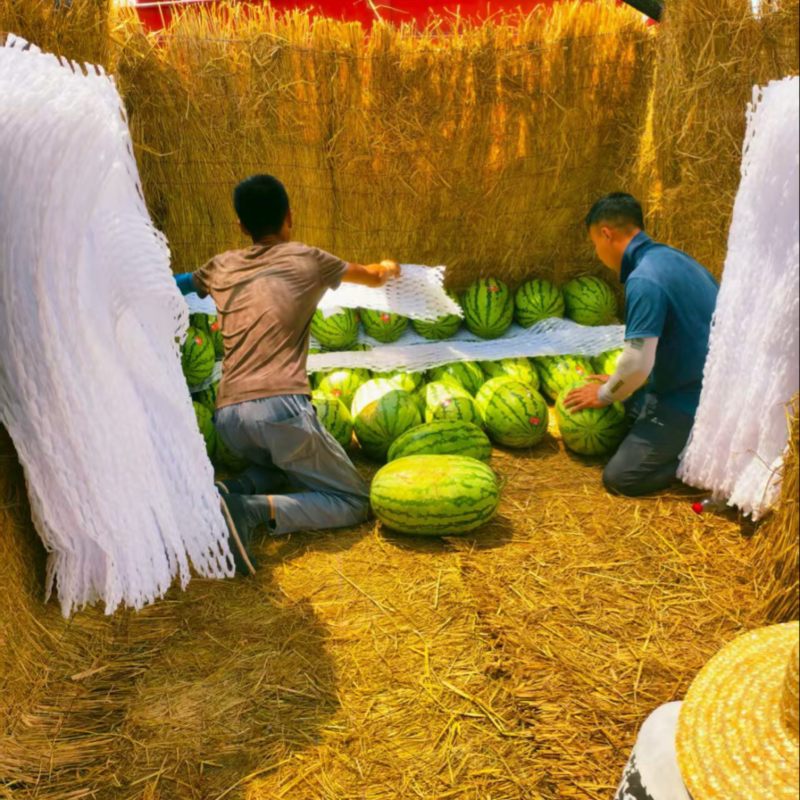 硒砂瓜品质保证服务周到产地直发价格美丽