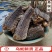 中药材乌稍蛇250克500克切段四川乌蛇乌蛇干去皮包邮