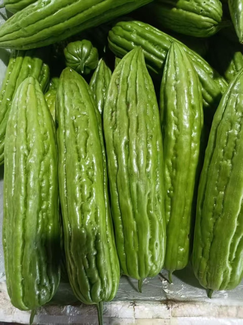 广西桂林精品青秀苦瓜干农副产品苦瓜干量大从优