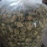 [牛]广西桂林精品青秀苦瓜干农副产品苦瓜干量大从优