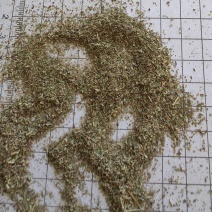 透骨草沫子批发支持代发1000克中药材农产品批发
