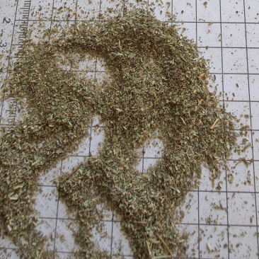 透骨草沫子批发支持代发1000克中药材农产品批发