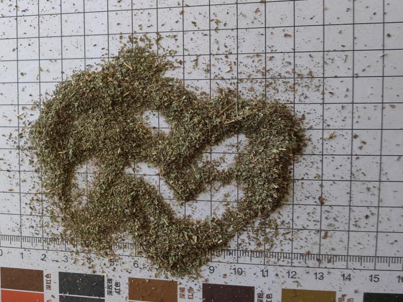 透骨草沫子批发支持代发1000克中药材农产品批发