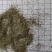 透骨草沫子批发支持代发1000克中药材农产品批发