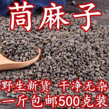 茼麻子中药材野生新货茼麻籽苘麻子青麻子白麻子苘实顷麻子