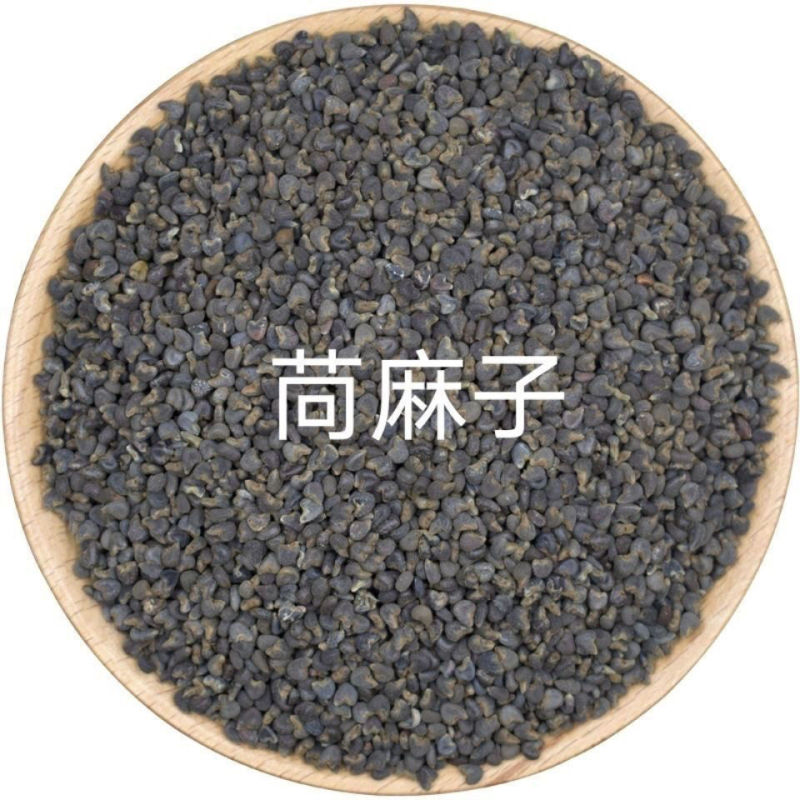 茼麻子中药材野生新货茼麻籽苘麻子青麻子白麻子苘实顷麻子