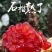 【现摘现发】会理石榴产地直发量大价优欢迎咨询看货