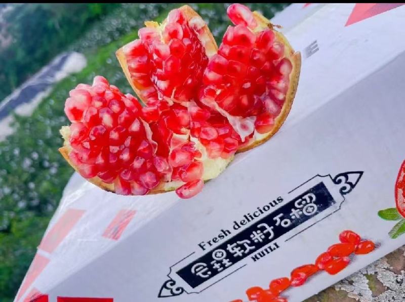 【现摘现发】会理石榴产地直发量大价优欢迎咨询看货