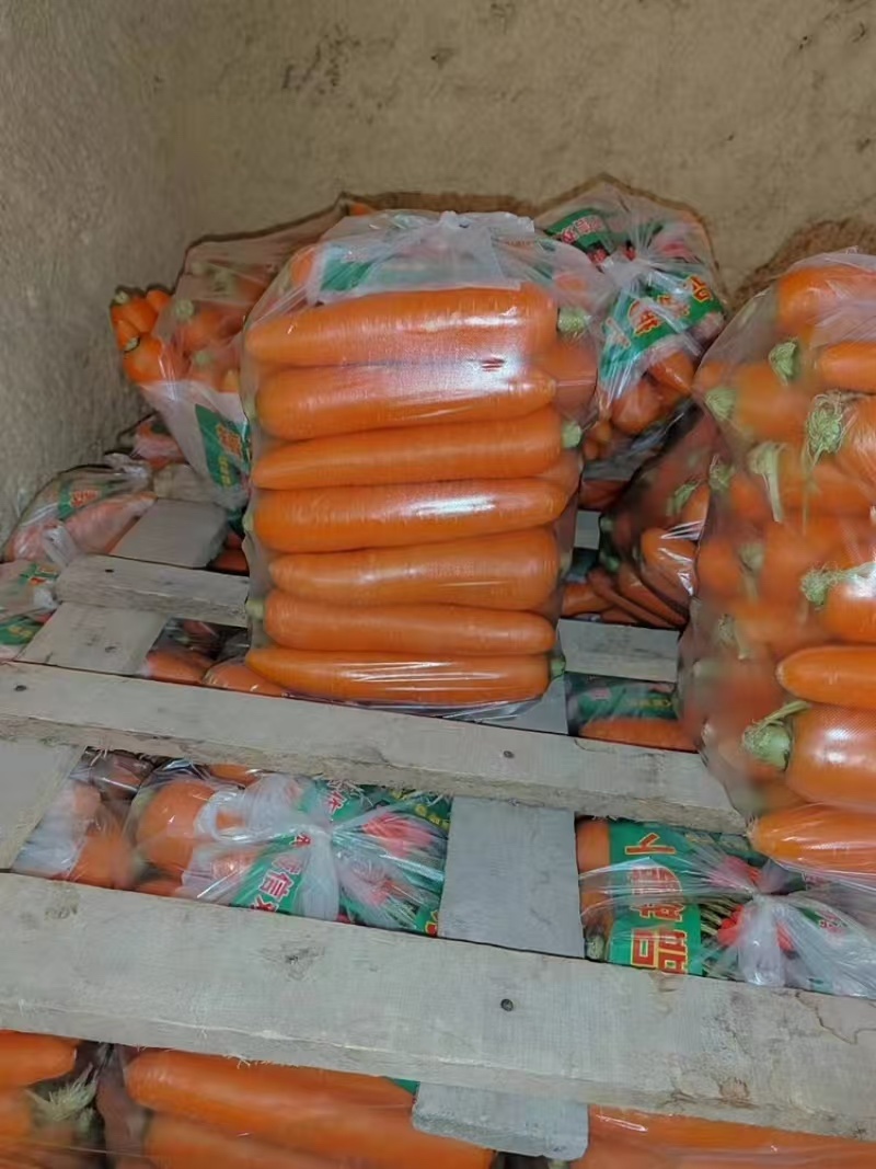 陕西水洗胡萝卜大量有货沙土种植胡萝卜口感脆嫩品相好