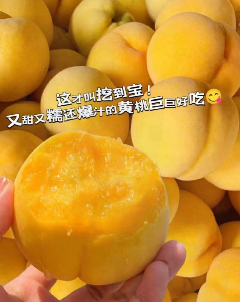 【产地直发】锦绣黄桃贵州黄桃新鲜供应量大价优