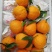 宜昌假丑橘大泡果电商批发商超出口外贸诚信合作坏果包赔