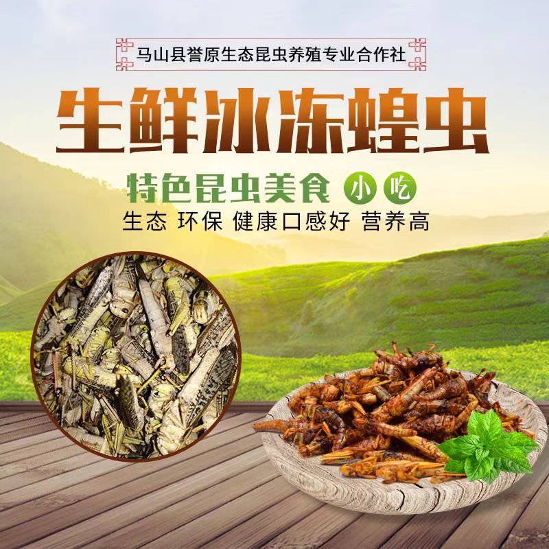 【油炸蚂蚱】蚂蚱罐头、蝗虫休闲小吃开盖即食26.8元包邮
