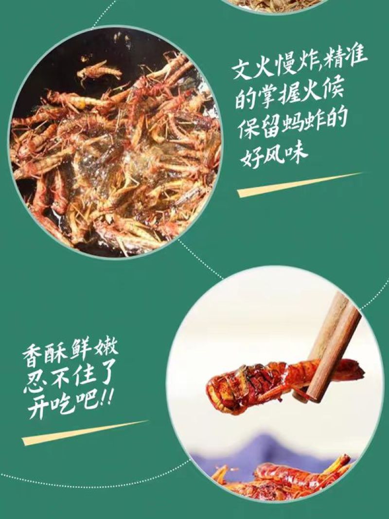 【油炸蚂蚱】蚂蚱罐头、蝗虫休闲小吃开盖即食26.8元包邮