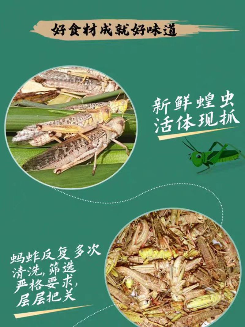 【油炸蚂蚱】香酥蝗虫罐头美食打开即食休闲零食