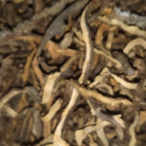 云南野生大叶小叶骨碎补干货鲜货有都可发黄毛骨碎补黄蕨蕨中药材