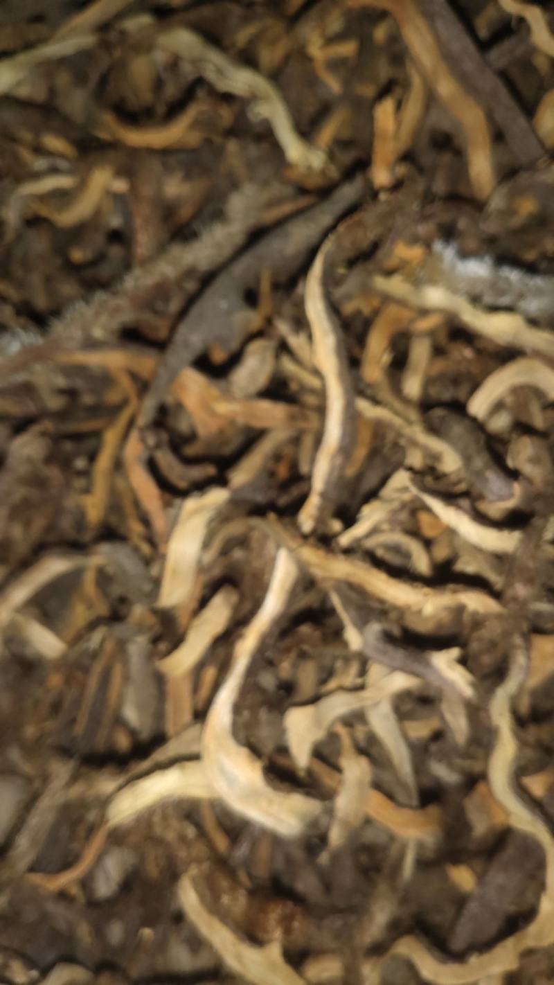 云南野生大叶小叶骨碎补干货鲜货有都可发黄毛骨碎补黄蕨蕨中药材