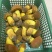 野生菌