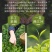 （鸭屎香）25新茶凤凰单丛头春鸭屎香礼盒送礼500g