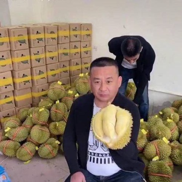 金枕榴莲一手批发价格