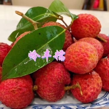 岭丰糯荔枝，甄选精品，净果5斤装，福建特优产区，口感更惊艳。