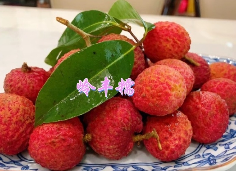 岭丰糯荔枝，甄选精品，净果5斤装，福建特优产区，口感更惊艳。